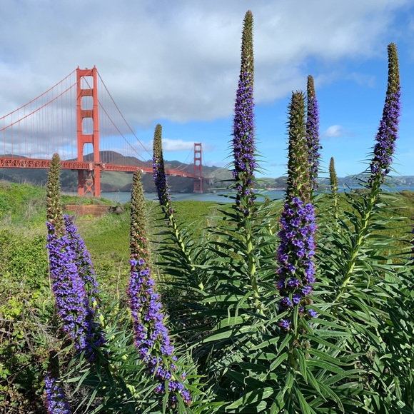 Meet your Posher, Christina - Picture 1 of 1